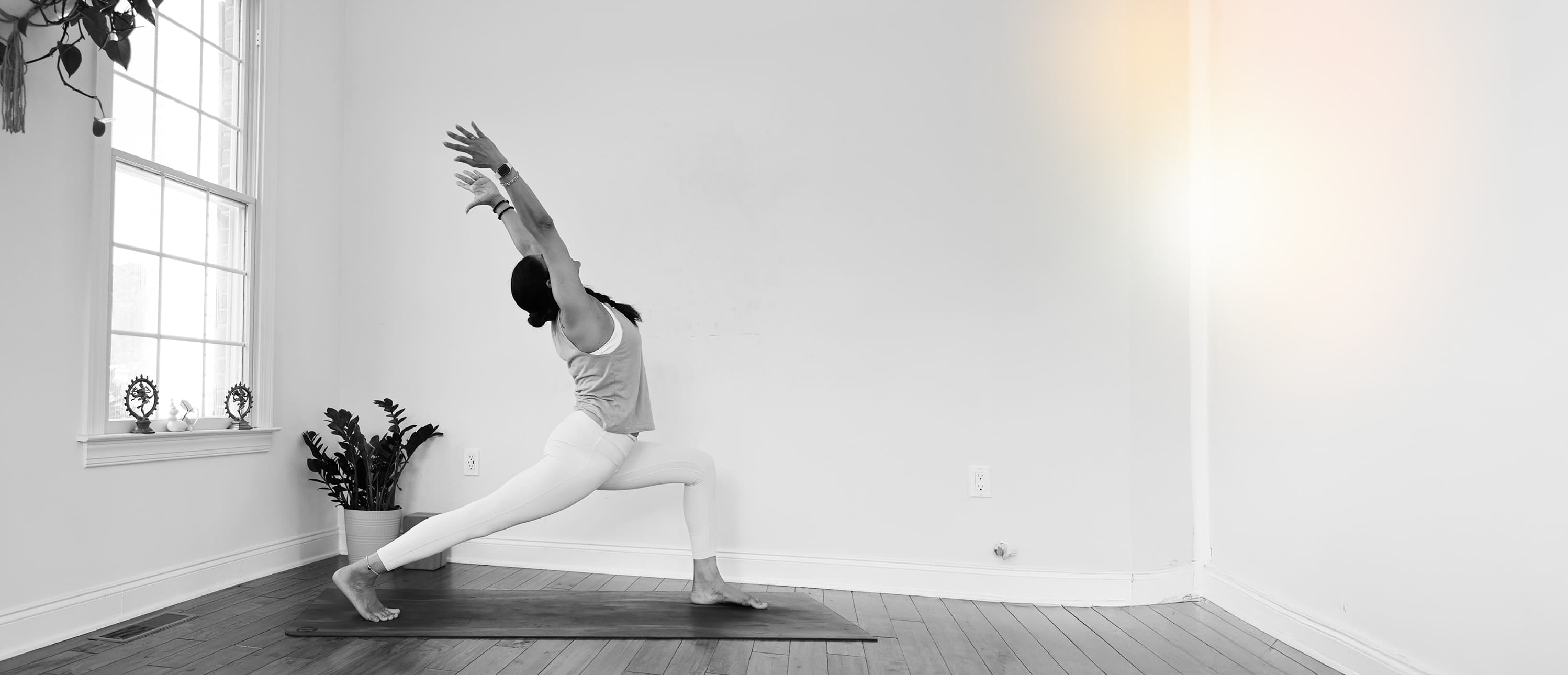 Hatha Essentials & Alignment